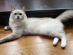 -陈八两面家(华孚写字楼店)