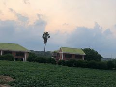 -侯臣咖啡文化村