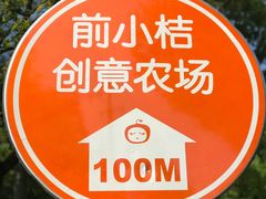 -前小桔亲子创意农场·草莓采摘·露营烧烤