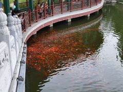 -西海子公园