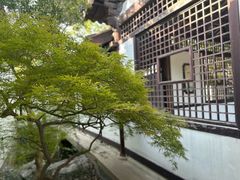 -常熟方塔园
