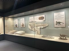-辽宁古生物博物馆