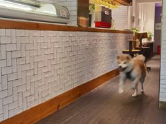 -BOCATA 西班牙餐厅(三里屯店)