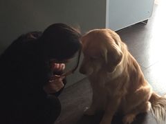 -百好乐宠物友好餐厅(朝外大街店)