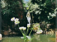 -花溪风景区
