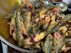 -金海椒罐罐鲢鱼(东方桂苑店)