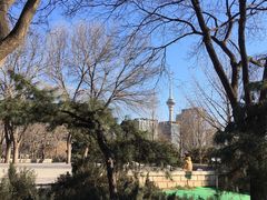-玲珑塔公园