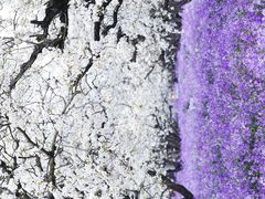 -江苏三台山国家森林公园