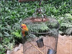 -南宫五洲植物乐园