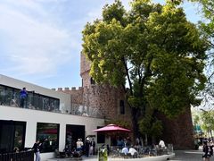 -J Create城市露营咖啡·简餐·宠物(上海动物园店)