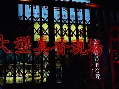 -沙胆彪炭炉牛杂煲(成都玉林店)