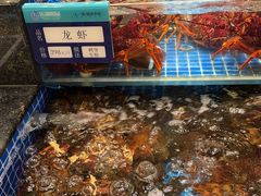 -东海怡品海鲜豆捞(舟宿夜江店)