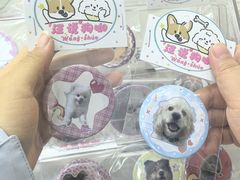 -汪说·狗咖·拼豆·宠物周边DIY(旺城大厦店)