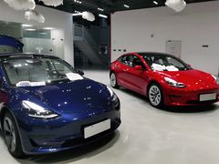 -TESLA 特斯拉(深圳观澜特斯拉直营钣喷中心)