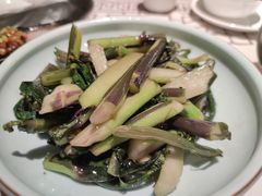 清炒红菜苔-湘语·湖南家常菜(新洲店)