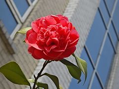-南京晨光1865创意产业园