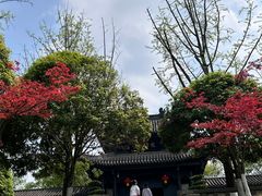 -重庆园博园