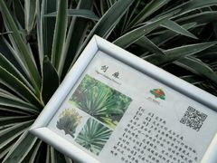 -晶宝温泉农庄