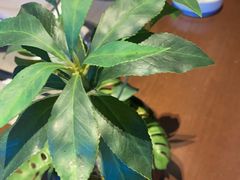 -百富源·海鲜辽菜(张士店)