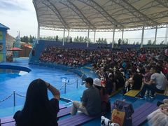 -华夏文旅海洋公园