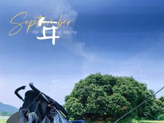 -风云岭森林公园