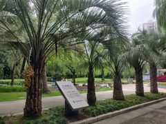 -苏州河梦清园环保主题公园