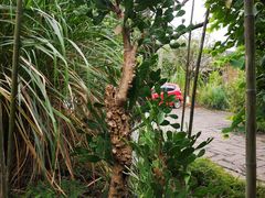 -驿舍·民國老营房院子私房菜(科学会堂店)