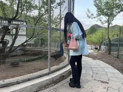 -雾灵西峰