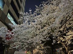 -玛格萝妮比萨屋(四平店)