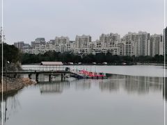 -南翔镇银翔湖公园