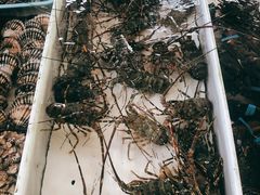 -南沙十九涌渔人码头-南门