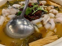 -蜀腾川·火锅鱼.烤鱼(新世界城店)