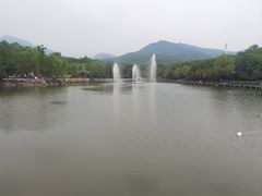 -北宫国家森林公园