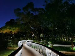 -四海公园(南山区)