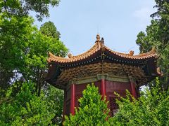 -西安碑林博物馆