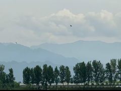 -洨河生态公园