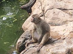 -广州长隆野生动物世界