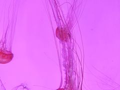 -沈阳海洋探索中心