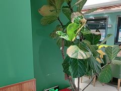 -去茶去餐厅(中央大街店)