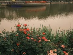 -东莞植物园