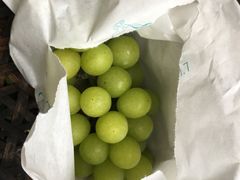 -马陆小张葡萄园农家乐