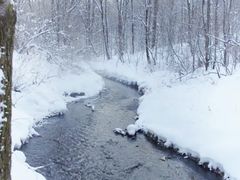 -吊水壶国家森林公园