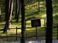 -玉苍山国家森林公园