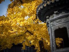 -龙华寺