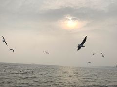 -老虎石海上公园