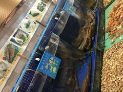 水产区-蓝港海鲜厨房(金水路店)