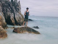 -珊瑚岛
