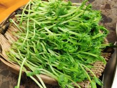 -大龙老火锅·总店(龙头寺店)