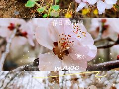 -朝阳公园