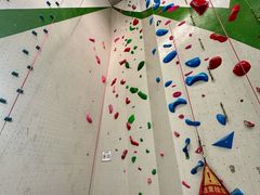 -绿壁虎攀岩基地(Tcar店)